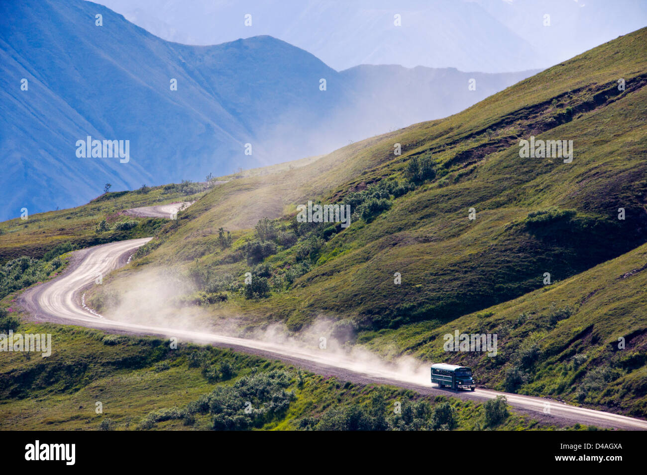 Shuttle-Busse Besucher auf den begrenzten Zugang Denali Park Road, Denali National Park & zu bewahren, Alaska, USA Stockfoto