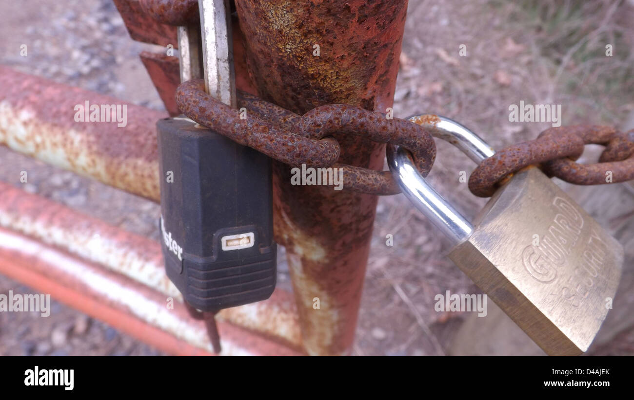 Verschiedene Aufnahmen der Natur. Stockfoto