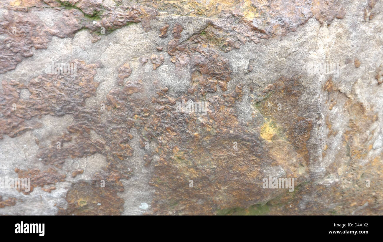 Verschiedene Aufnahmen der Natur. Stockfoto