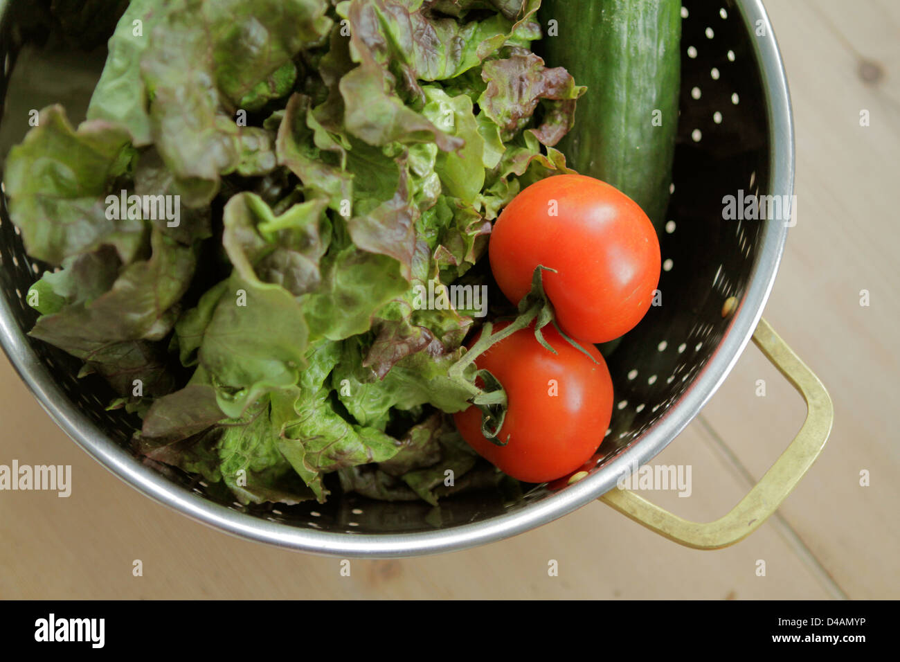 Stuttgart, Deutschland, ein Sieb mit frischen Gurken, Tomaten und Salat Stockfoto