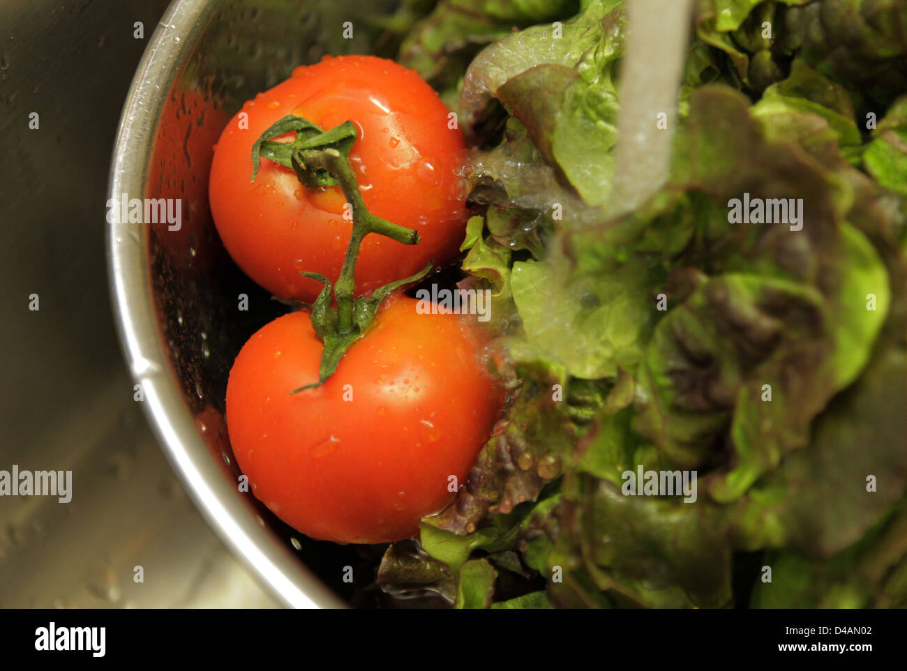 Stuttgart, Deutschland, ein Sieb mit frischen Tomaten und Salat Stockfoto