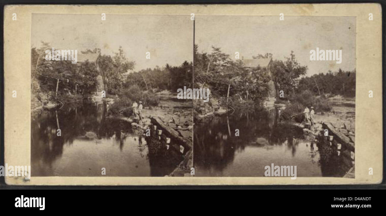 Dieses Bild zeigt einen malerischen Blick auf den Catskill Creek, der durch die Catskill Mountains in New York fließt, mit seinem üppigen Grün und dem ruhigen Wasser. Das Foto von 1869 zeigt die natürliche Schönheit dieser bergigen Region. Stockfoto