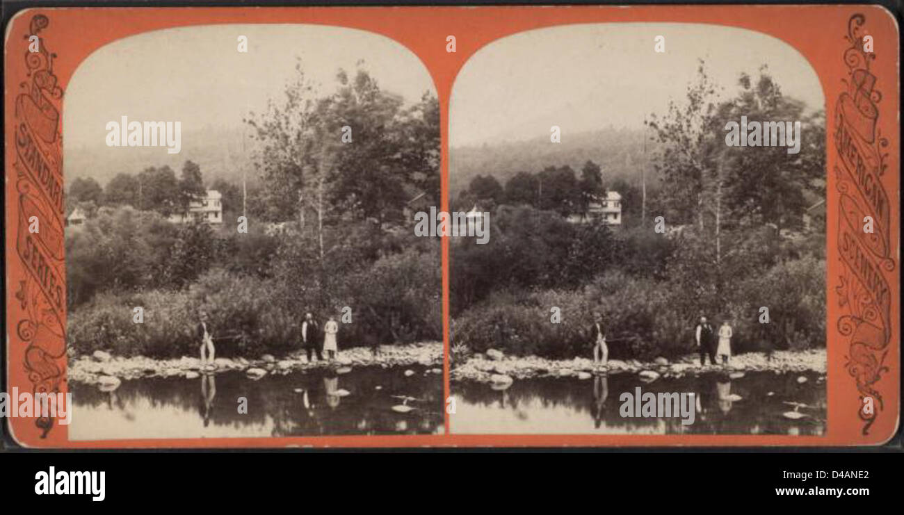 Dieses Foto zeigt den Mount Pleasant in den Catskill Mountains und bietet einen malerischen Blick auf die natürliche Landschaft in New Yorks ländlicher Region. Stockfoto