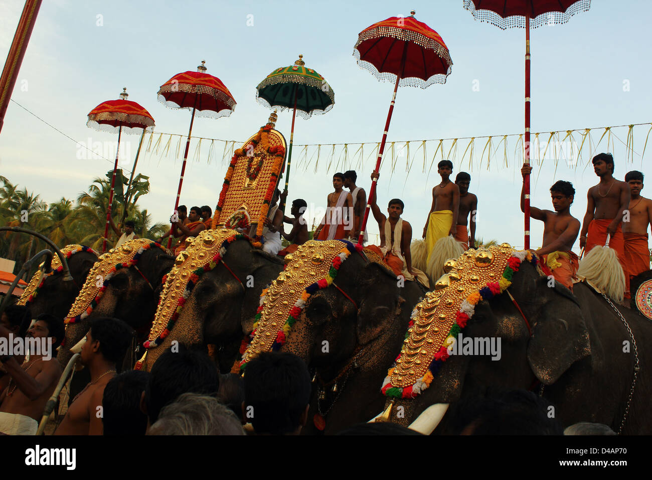 Tempel-Elefanten an einem Festival, Kerala, Indien Stockfoto