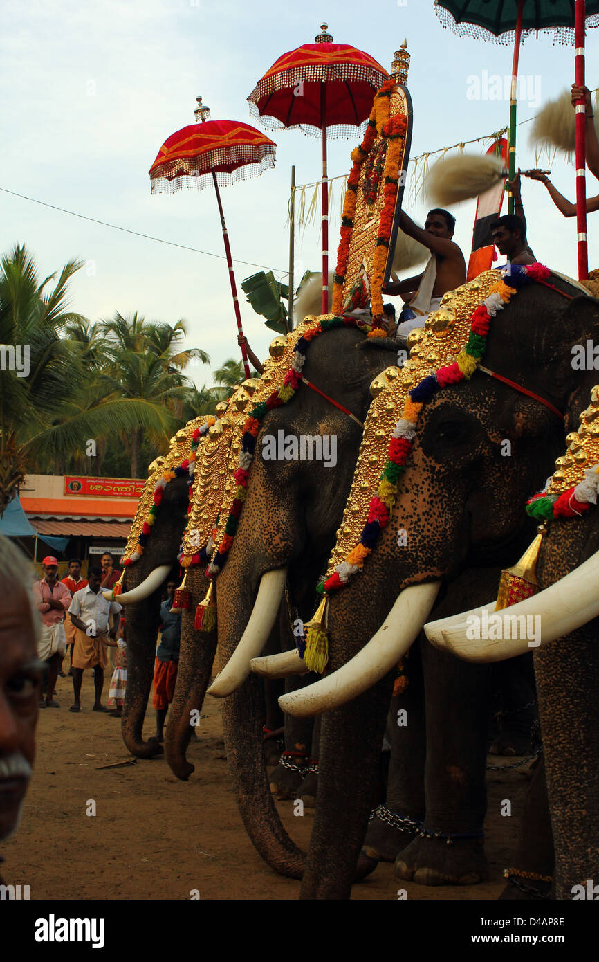 Tempel-Elefanten an einem Festival, Kerala, Indien Stockfoto