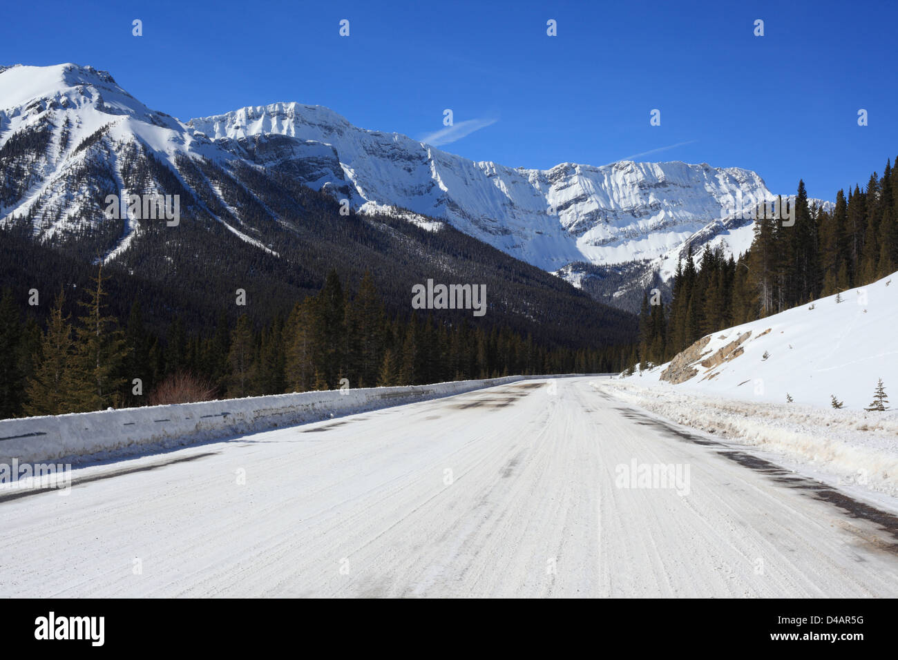 Scenic Spray Seen Straße in Kananaskis Country (Alberta, Kanada). Stockfoto