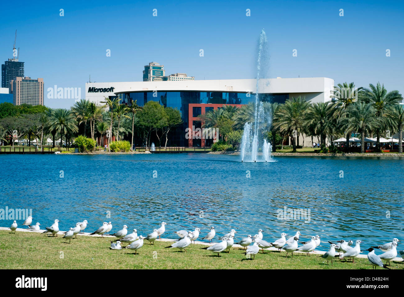 Blick über den See an Microsoft Gebäude in Dubai Internet City in Vereinigte Arabische Emirate VAE Stockfoto