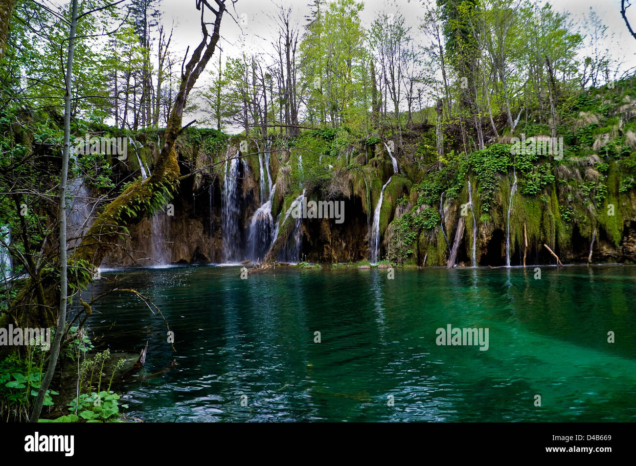 Nationalpark Plitvicer Seen-Kroatien Stockfoto