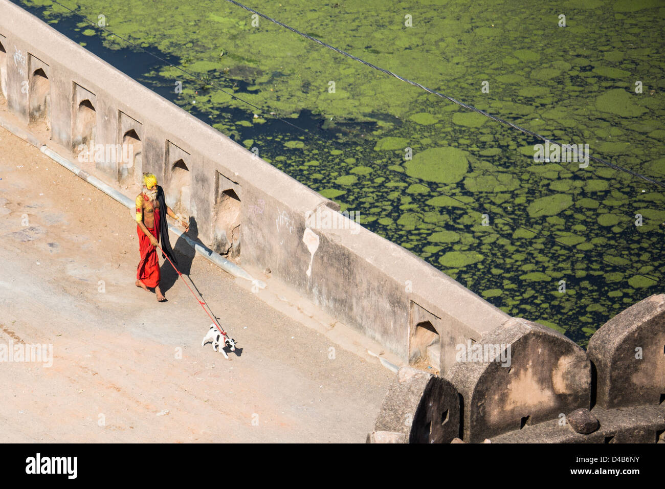 Sadhu zu Fuß ein Welpe, Orchha, Indien Stockfoto