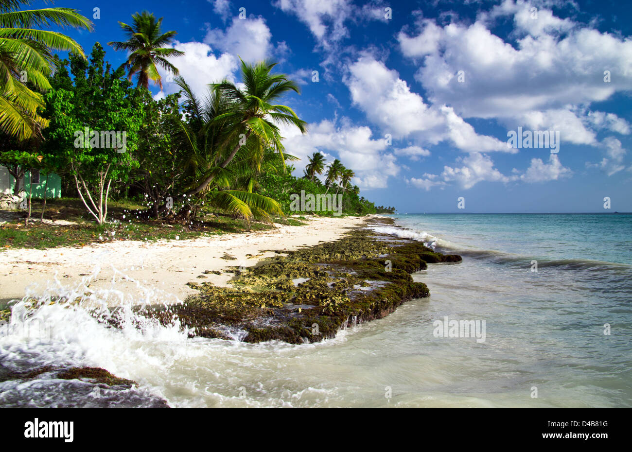 Schöner Strand mit karibischen Meer Stockfoto
