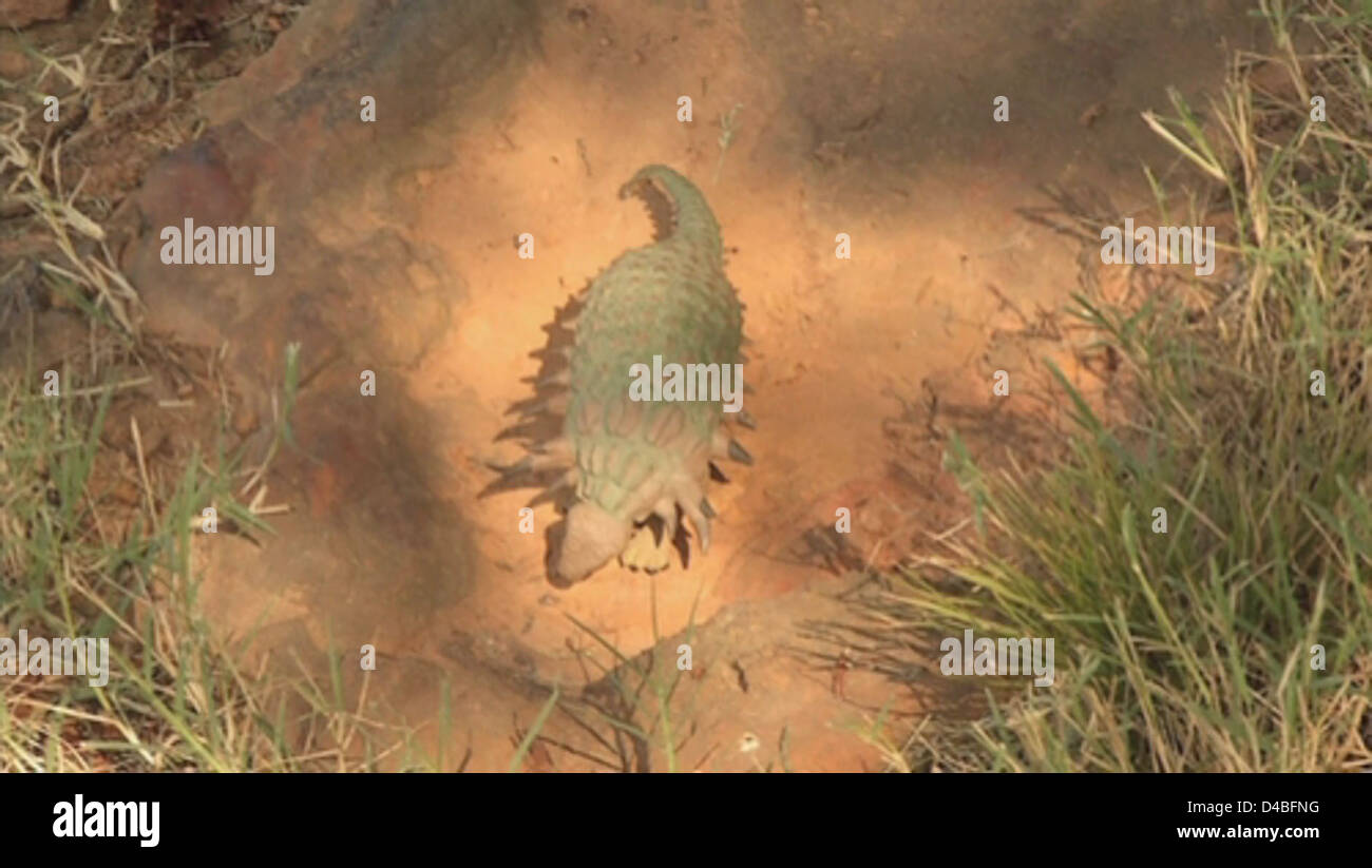 Auf dem Campus des Goddard Space Flight Center der NASA wurden Dinosaurierspuren aus der Kreidezeit entdeckt, die Licht auf das antike Leben und die Geschichte der Erde werfen. Die Entdeckung unter der Leitung des Forschers Ray Stanford bietet wertvolle Einblicke in das prähistorische Leben. Stockfoto