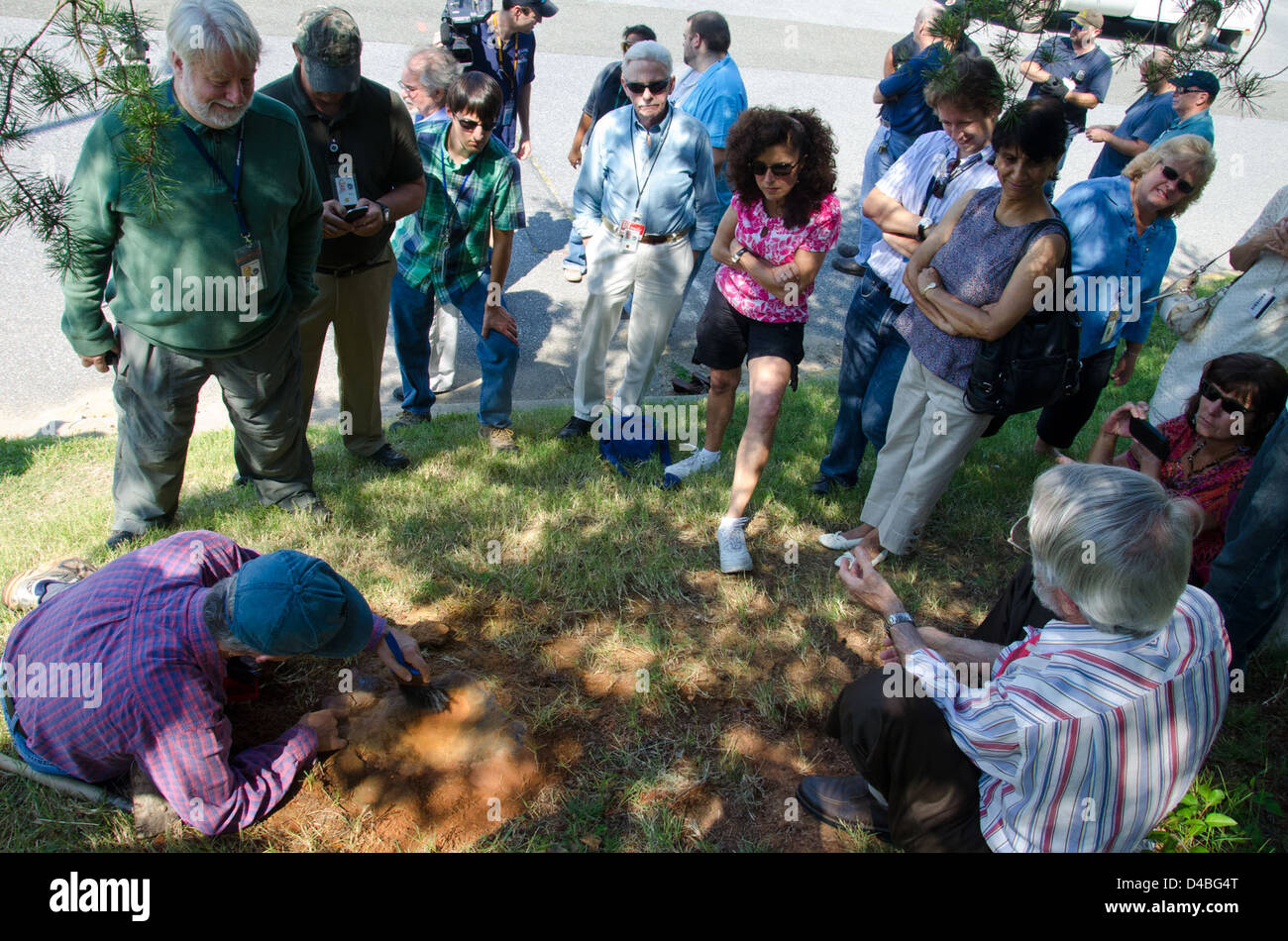 Ein verifizierter Nodosaurier-Fußabdruck, der im Goddard Space Flight Center der NASA in Greenbelt, MD, entdeckt wurde. Der Fußabdruck stammt aus der Kreidezeit und bietet Einblick in das Leben von Dinosauriern. Stockfoto