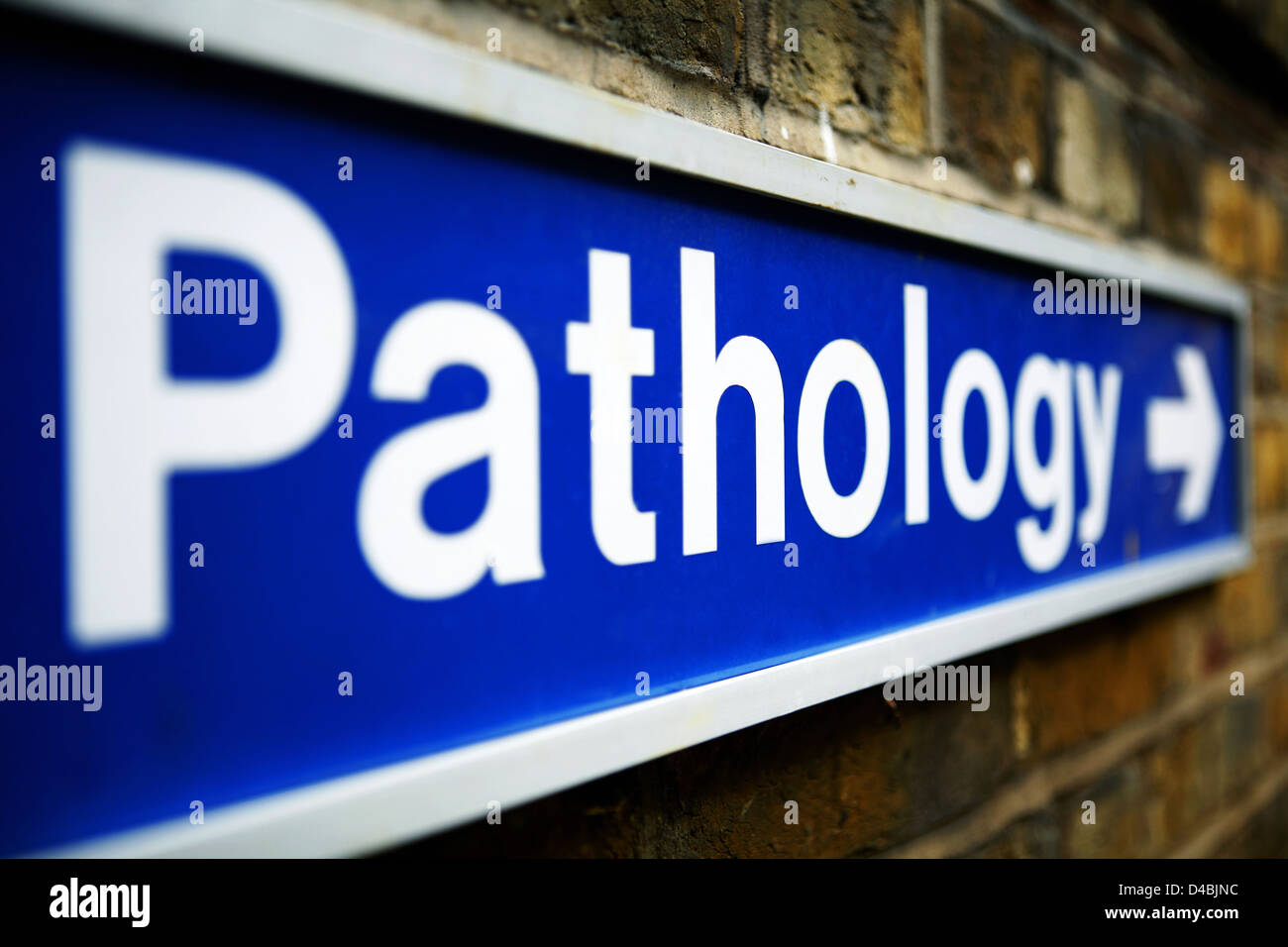 Pathologie-Abteilung Richtungsanzeiger Stockfoto