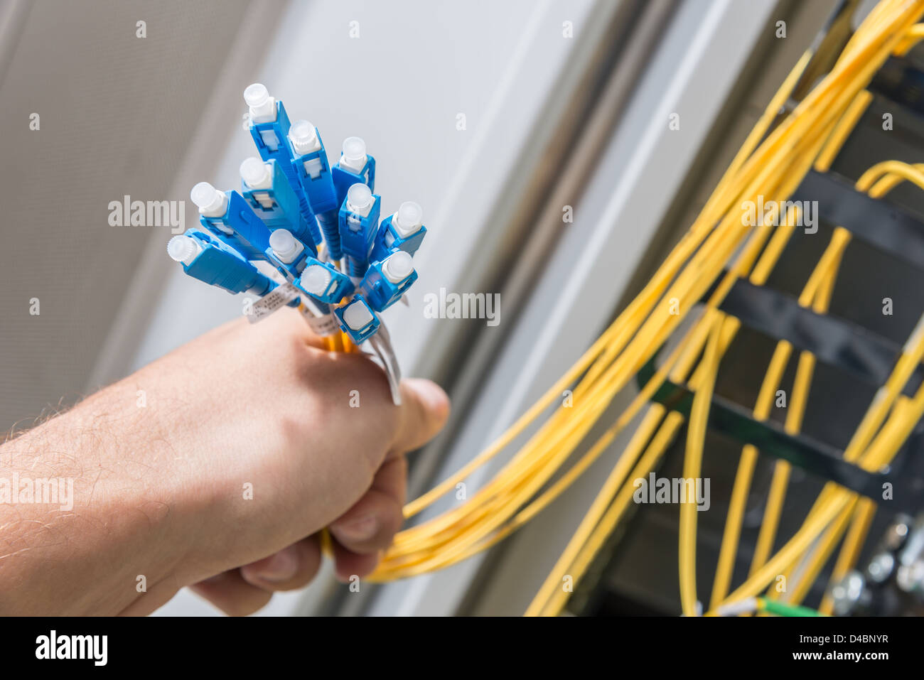 Hand des Administrators holding Bündel von Glasfaser-Kabel mit Steckern Stockfoto Hand des Administrators holding Bündel von Glasfaser-Kabel mit Steckern Stockfoto