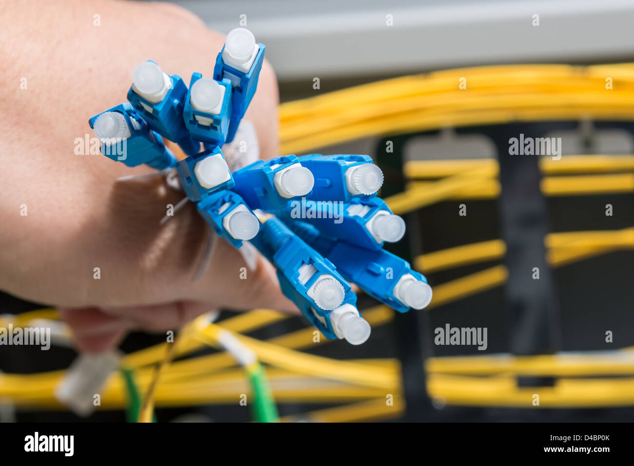 Hand des Administrators holding Bündel von Glasfaser-Kabel mit Steckern Stockfoto
