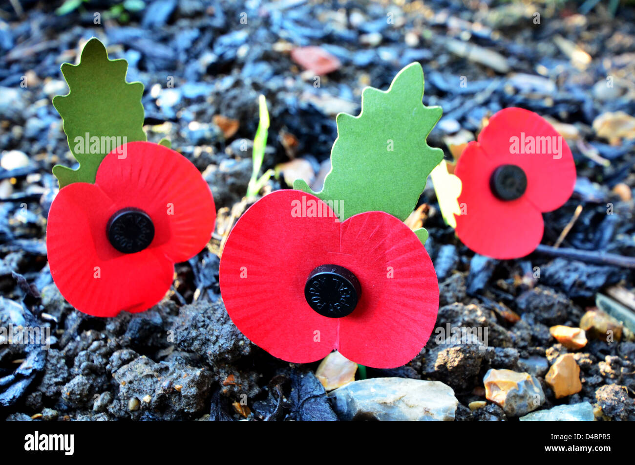 KÜNSTLICHE REMEMBRANCE DAY MOHN IN EINEM GARTEN Stockfoto