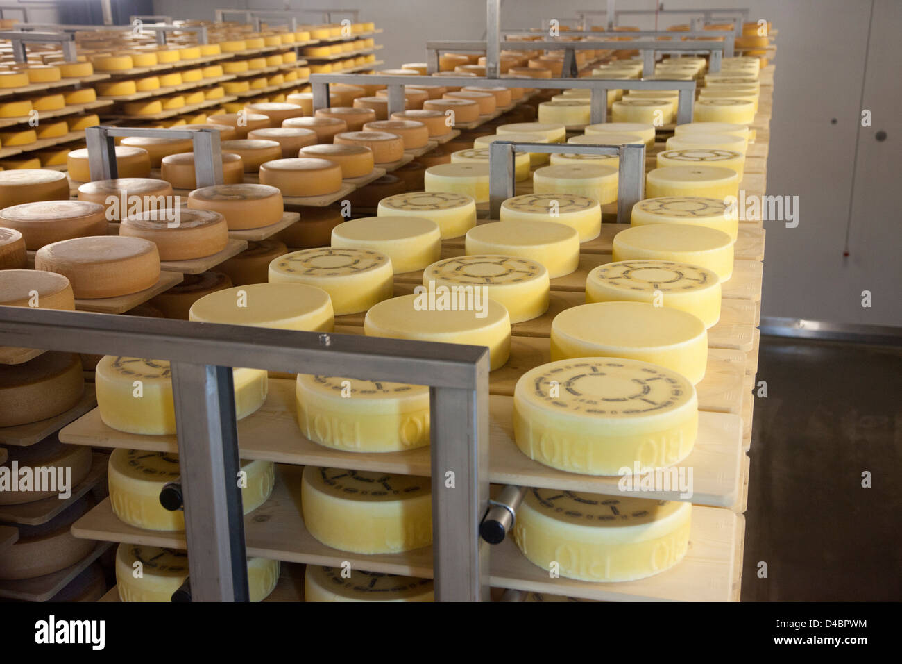 Appenzeller käse -Fotos und -Bildmaterial in hoher Auflösung – Alamy