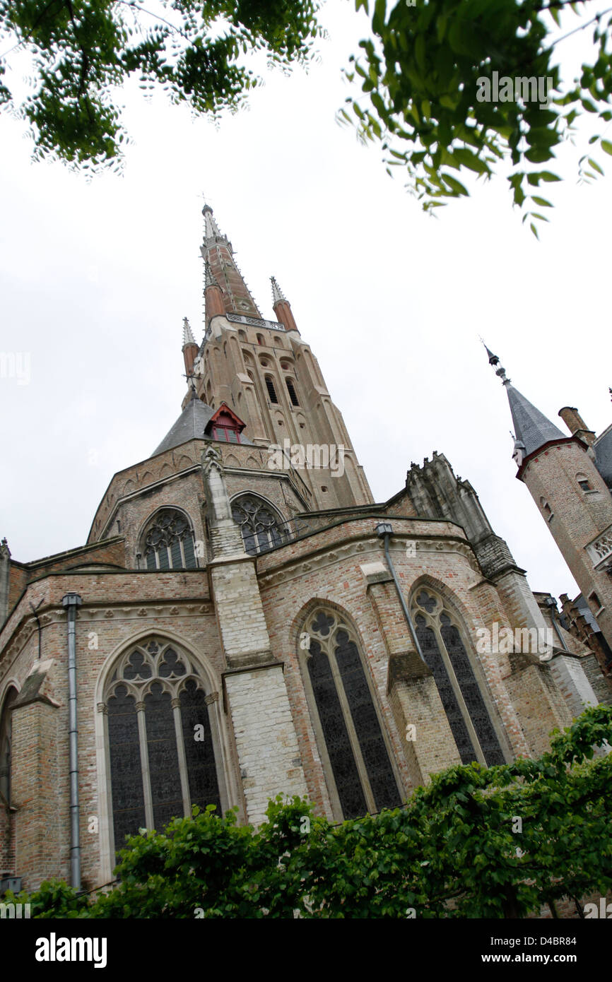 Reisen Sie Sint Salvatorskathedraal Bilder von Brügge, Belgien- Stockfoto