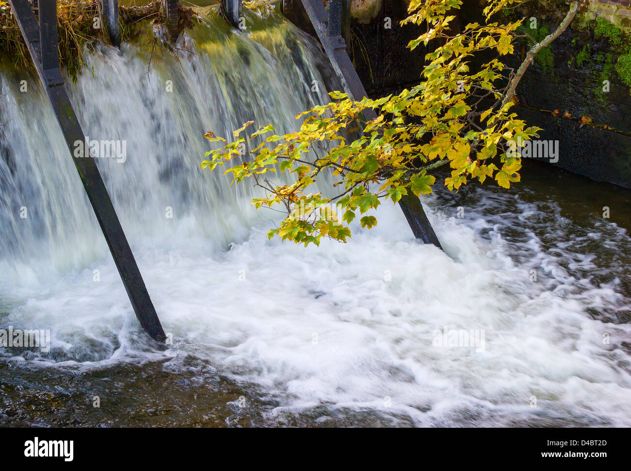 Wehr in vollem Gange. Fluss Stour Canterbury England (leichte digitale Verbesserung) Stockfoto