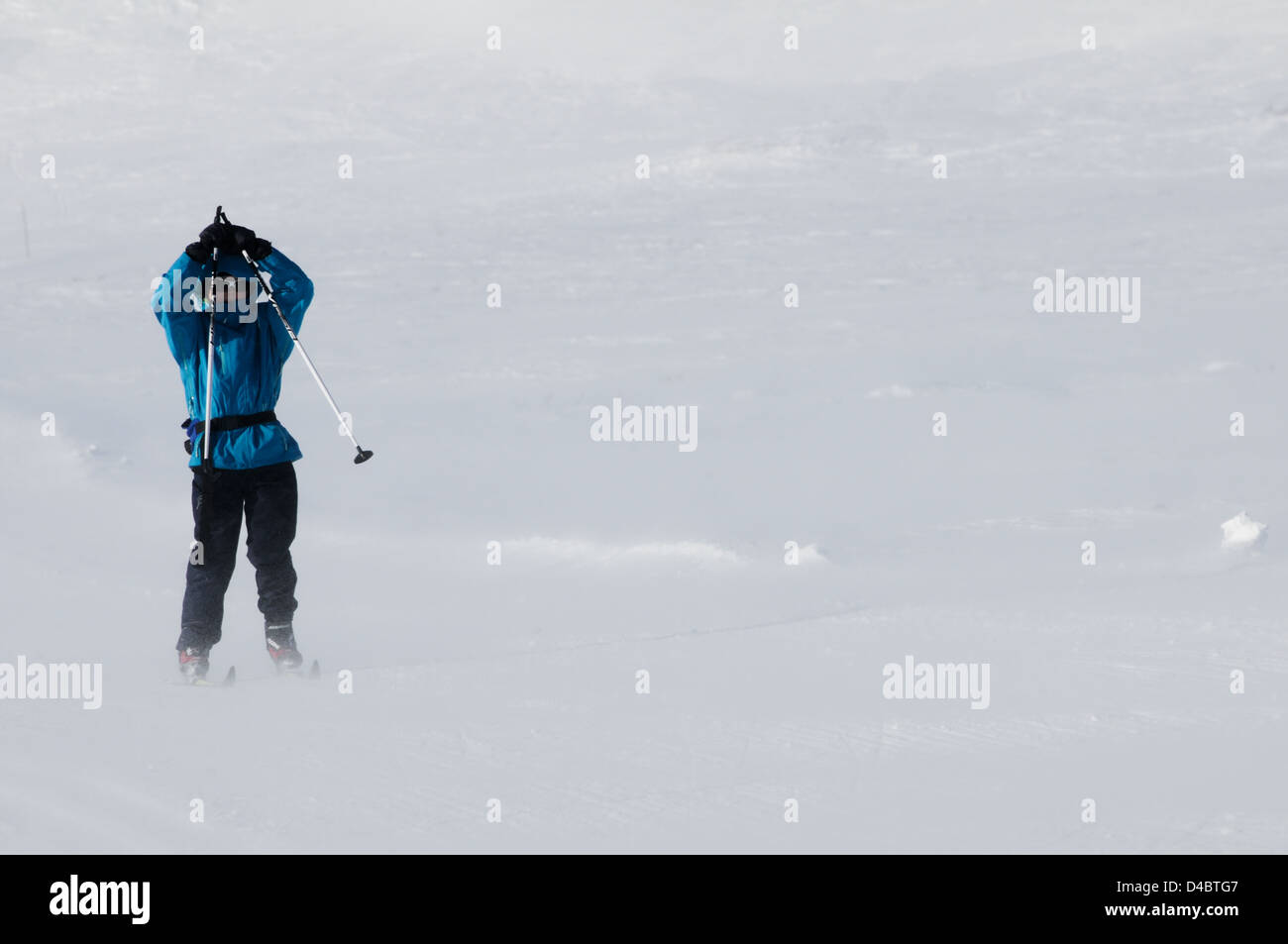 Langlaufen am Hardagervidden, Ustaoset, bei windigem Wetter Stockfoto