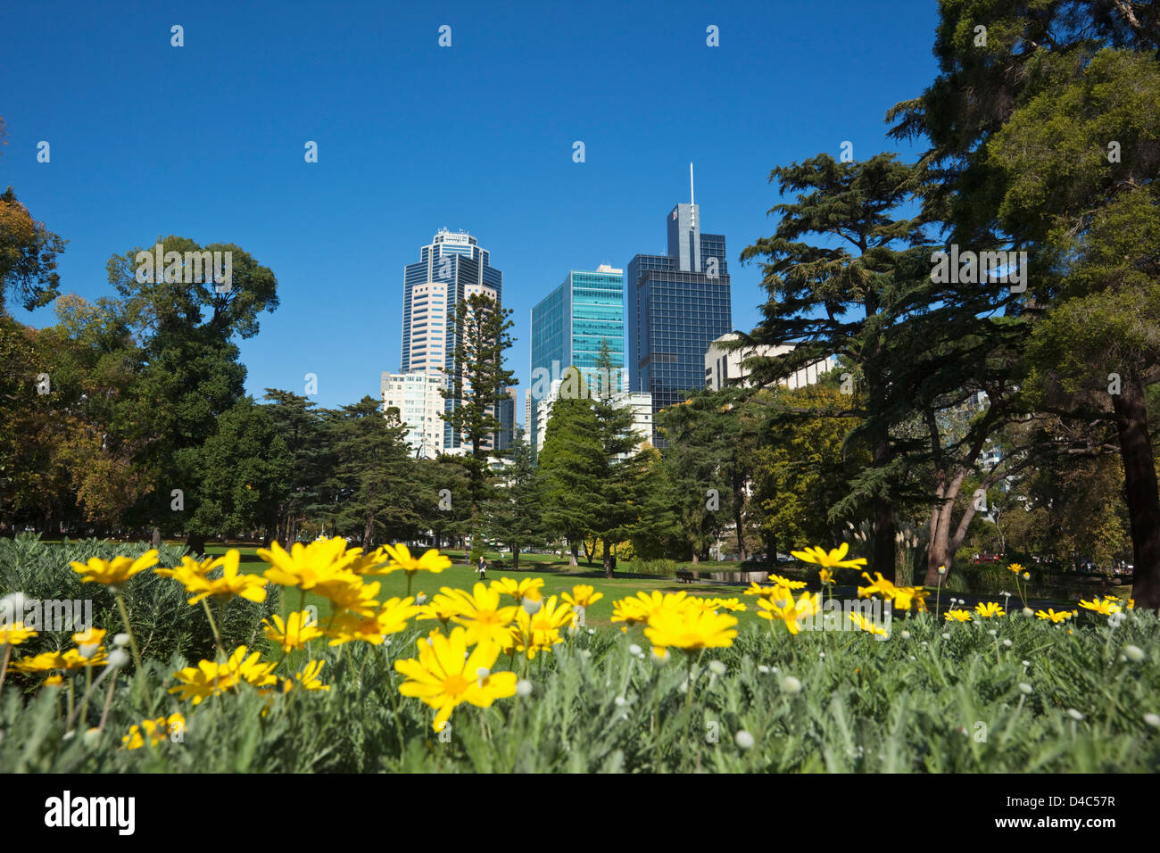 Blumen in Carlton Gardens mit Skyline der Stadt im Hintergrund. Carlton, Melbourne, Victoria, Australien Stockfoto