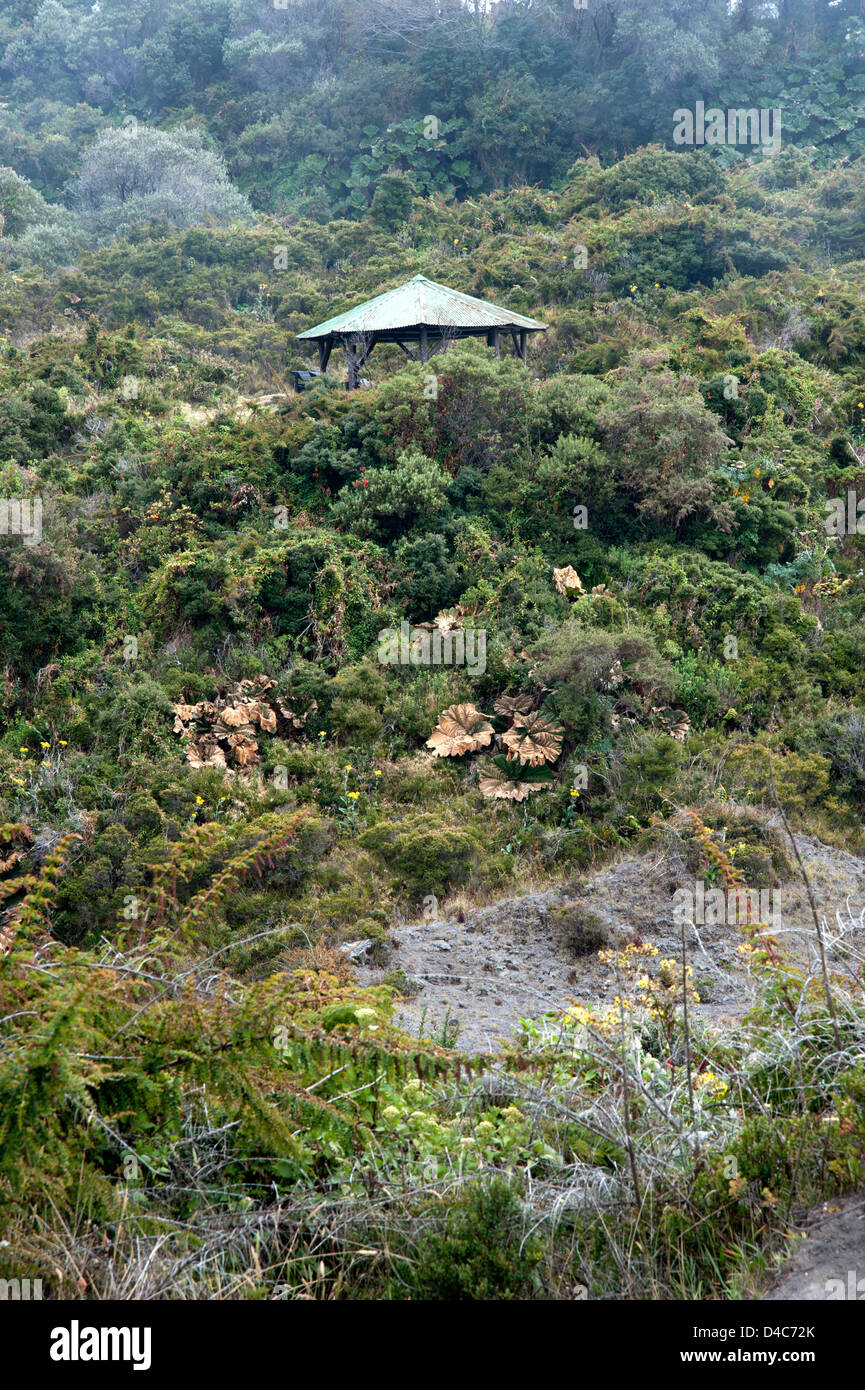 Irazu Vulkan-Nationalpark, Costa Rica Stockfoto