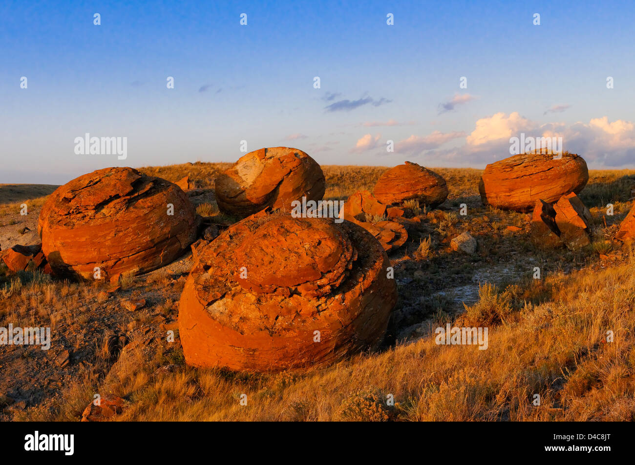 Großen Sandstein Konkretionen, Red Rock Coulee Naturraum, Alberta, Kanada Stockfoto