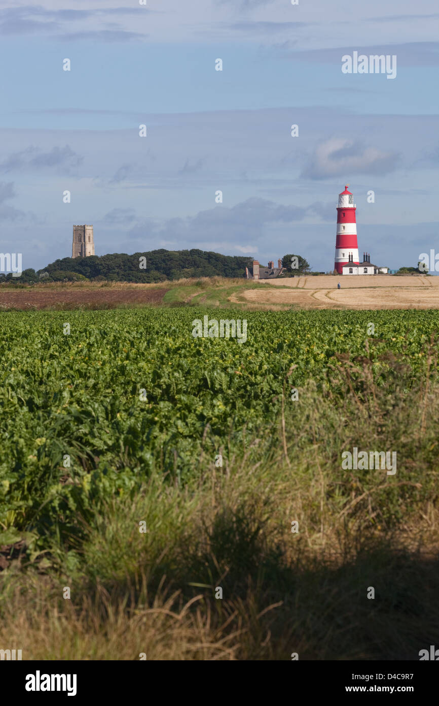 Happisburgh Landschaft, Norfolk. Kirche und Leuchtturm Türme von Cart Lücke gesehen. Juli. Anbau von Getreide, Weizen und Zuckerrüben Stockfoto Happisburgh Landschaft, Norfolk. Kirche und Leuchtturm Türme von Cart Lücke gesehen. Juli. Anbau von Getreide, Weizen und Zuckerrüben Stockfoto