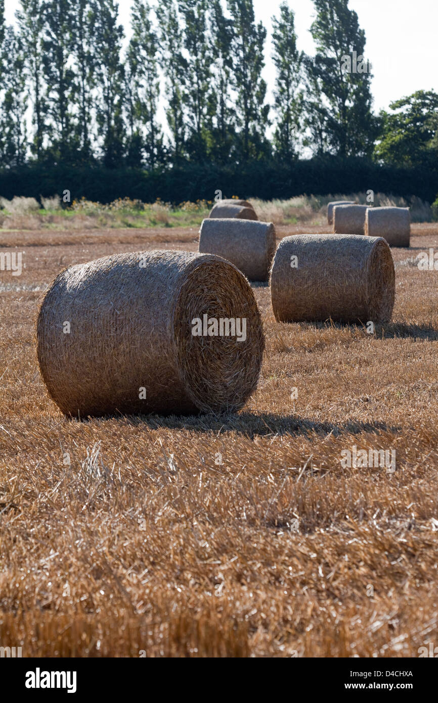 Kombinieren Sie geerntet Getreide Feld mit Stroh Rundballen warten auf Sammlung. Stockfoto