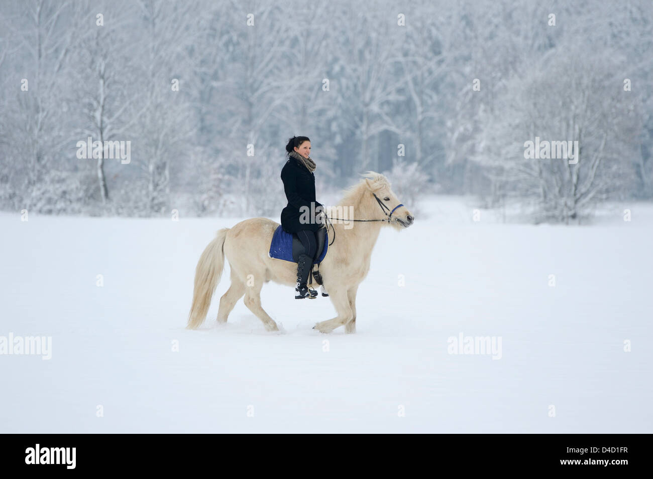 Junge Frau Reiten auf Pferd im Schnee Stockfoto