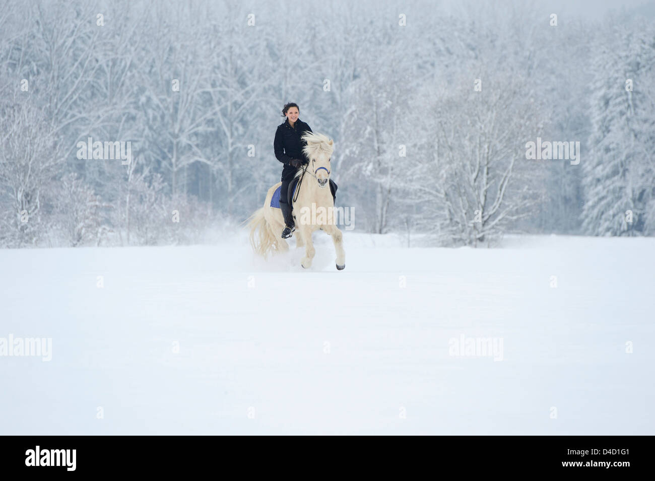 Junge Frau Reiten auf Pferd im Schnee Stockfoto