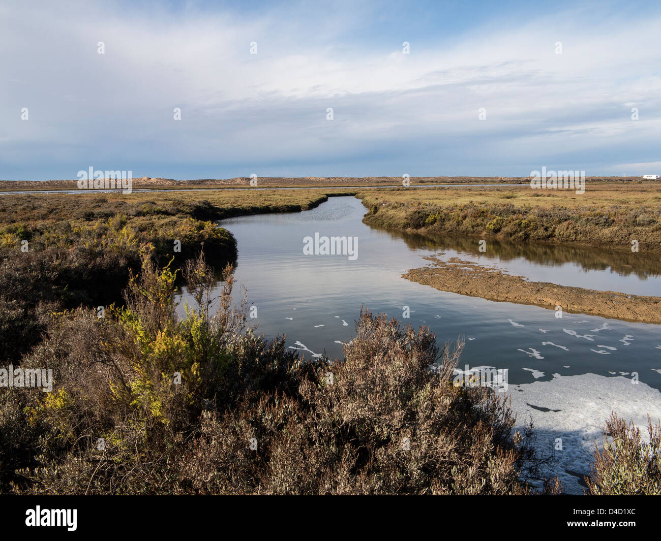 Creek und Salzwiesen Ria Formosa Naturpark in der Nähe von Faro Portugal Stockfoto