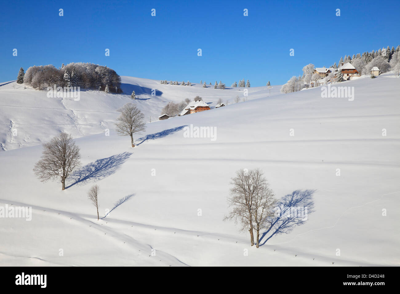 Freiburg Winter Germany Stockfotos und bilder Kaufen Alamy Freiburg Winter Germany Stockfotos und bilder Kaufen Alamy