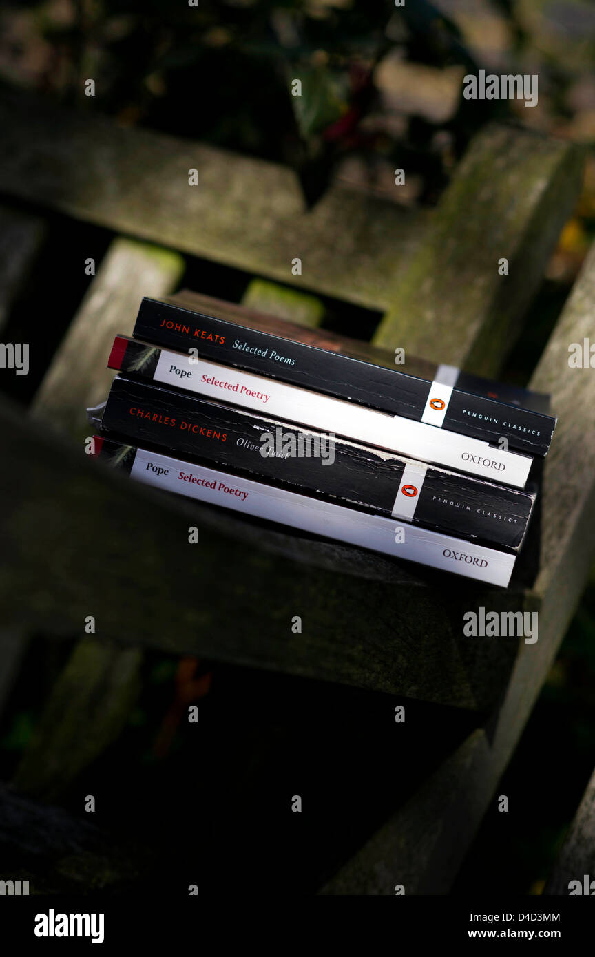 Bücher über Gartenstuhl Stockfoto