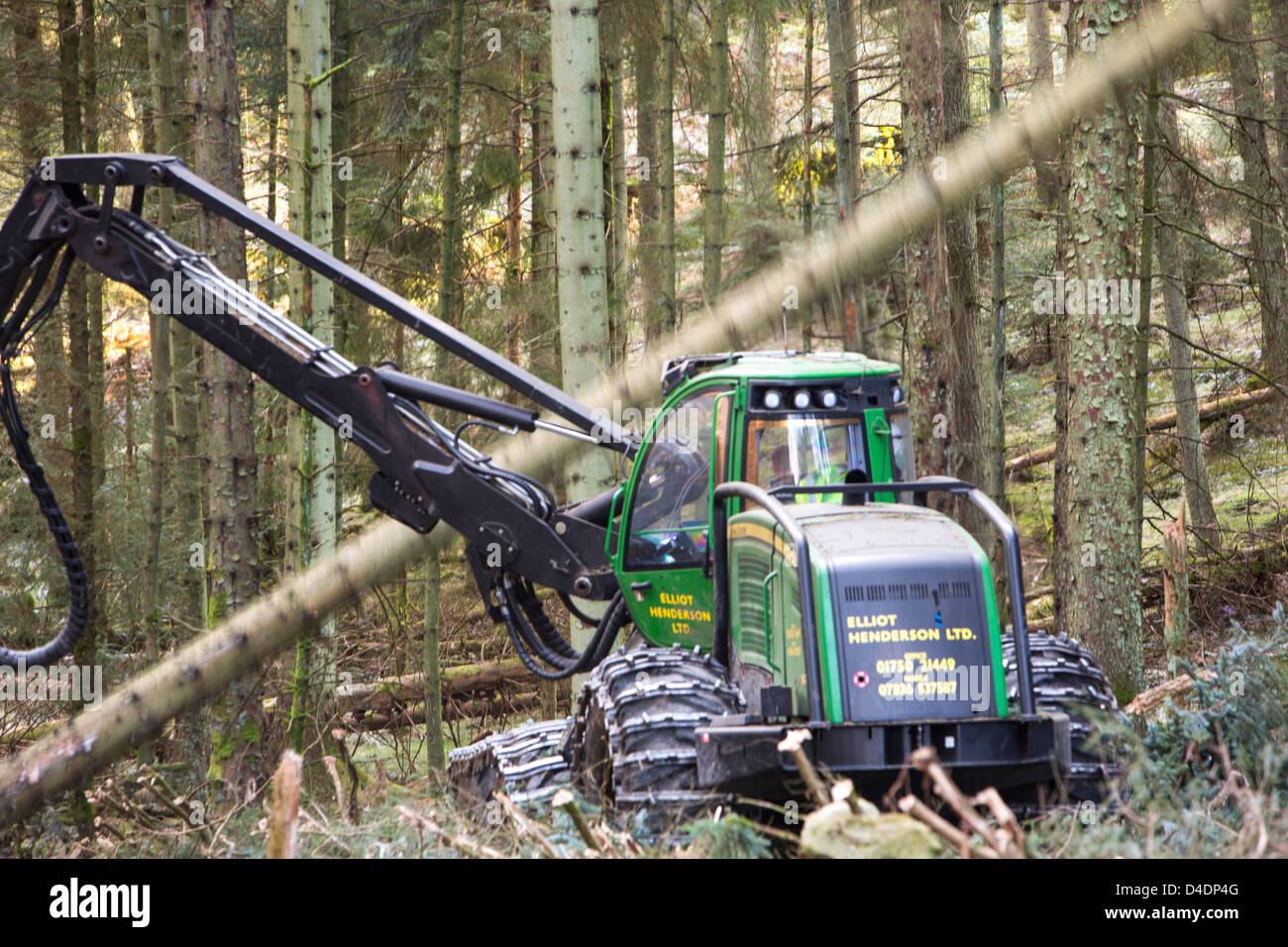 Ein Spediteur, ein Spezialist Maschine zum Holzfällen in Grizedale Forest, Lake District, UK, das als Biokraftstoff verwendet werden soll Stockfoto