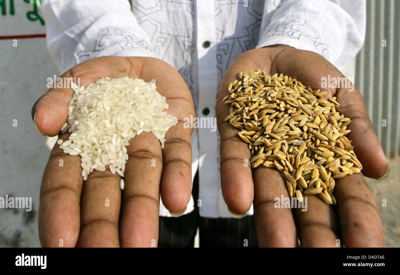 (Dpa-Datei) Die Datei, die im Bild vom 18. Januar 2007 fängt einen Kreditor präsentiert geschälte (L) und ungeschältem Reis (R) auf einem Reis Stand auf einem Markt in Joydebpur, Bangladesch. Bangladesch hat einen dramatischen Anstieg der Nahrungsmittelpreise in den letzten zwölf Monaten gelitten, ein zwei-Kilogramm-Beutel Reis isst die Hälfte der täglichen Einkommen einer Familie. Der Preis für eine Tonne Reis, eines der drei Grundnahrungsmittel Witz Stockfoto