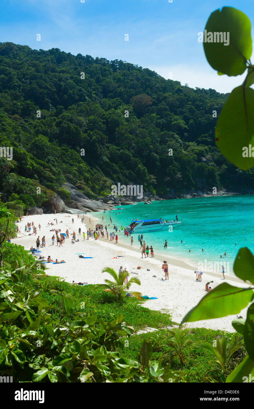 Strand von Similan Island, Thailand. Stockfoto