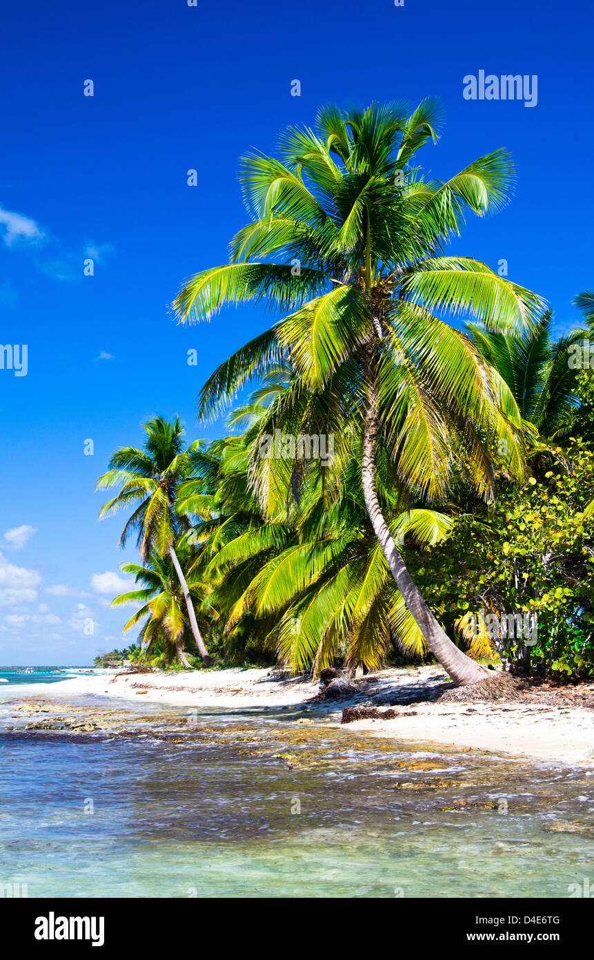 schöner Strand und tropischen Meer Stockfoto