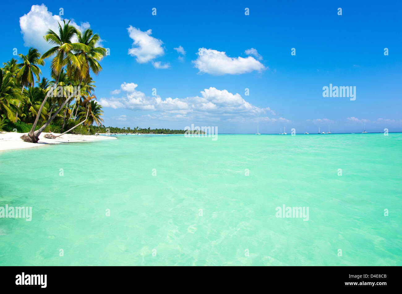 Strand und wunderschöne tropische Meer Stockfoto