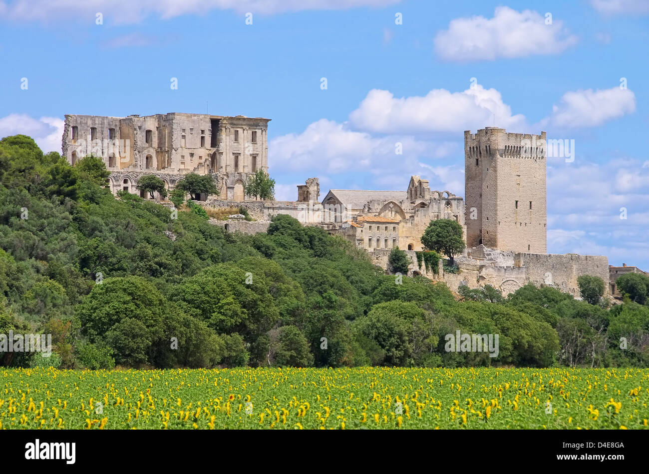 Abbaye de Montmajour 07 Stockfoto