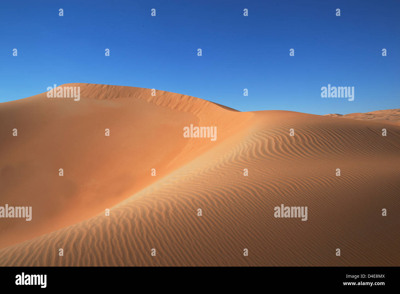 Wüstensanddünen in Liwa Oasis, Vereinigte Arabische Emirate Stockfoto