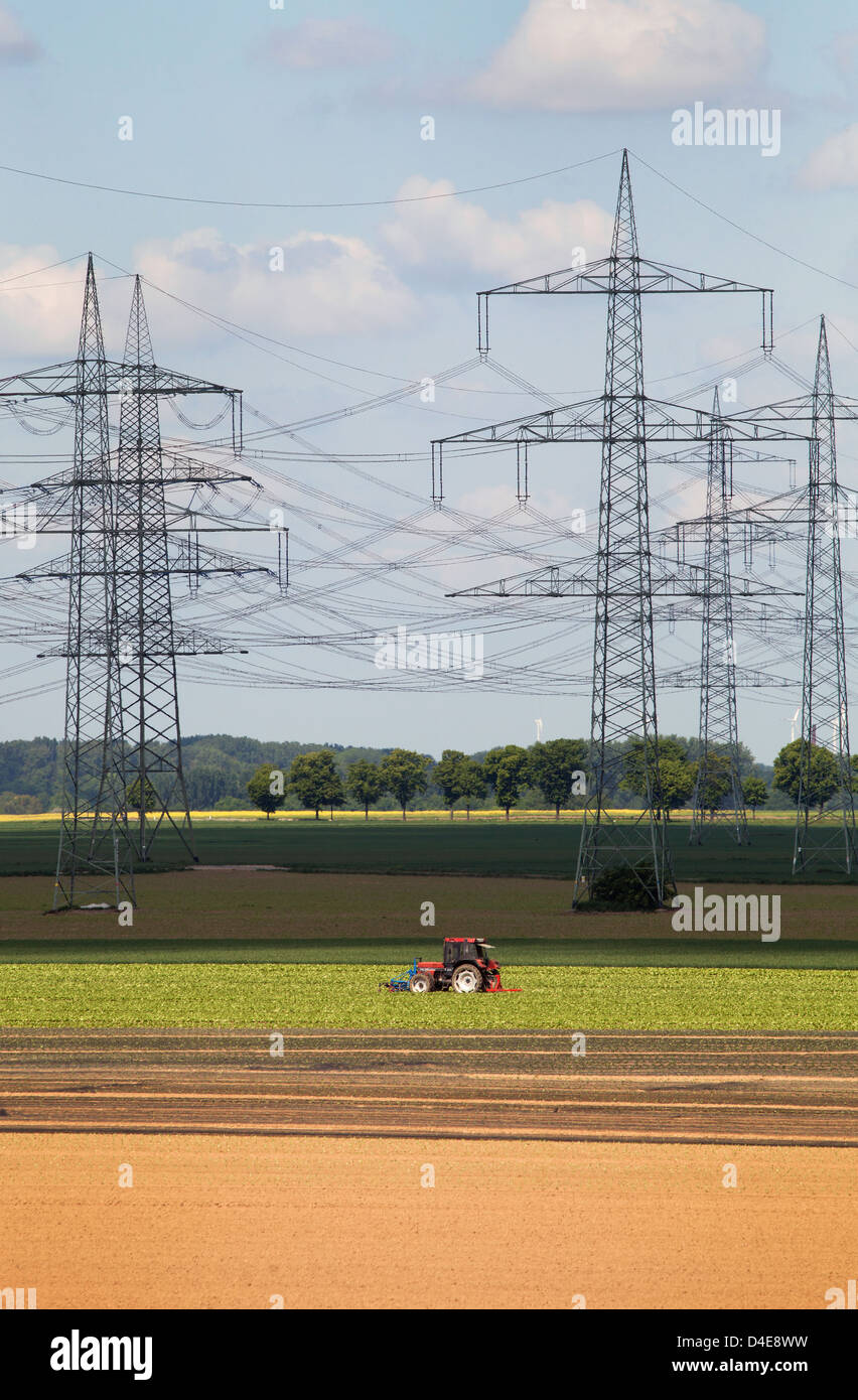 Düren, Deutschland, Strommasten in einem Feld Stockfoto