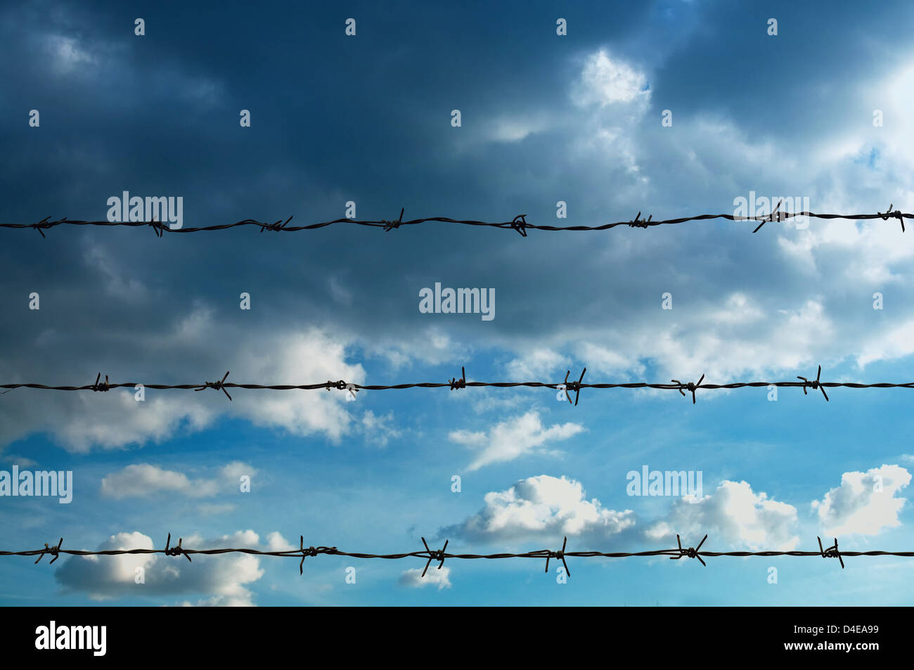 Barb Wire Fence und blau Himmelshintergrund Stockfoto