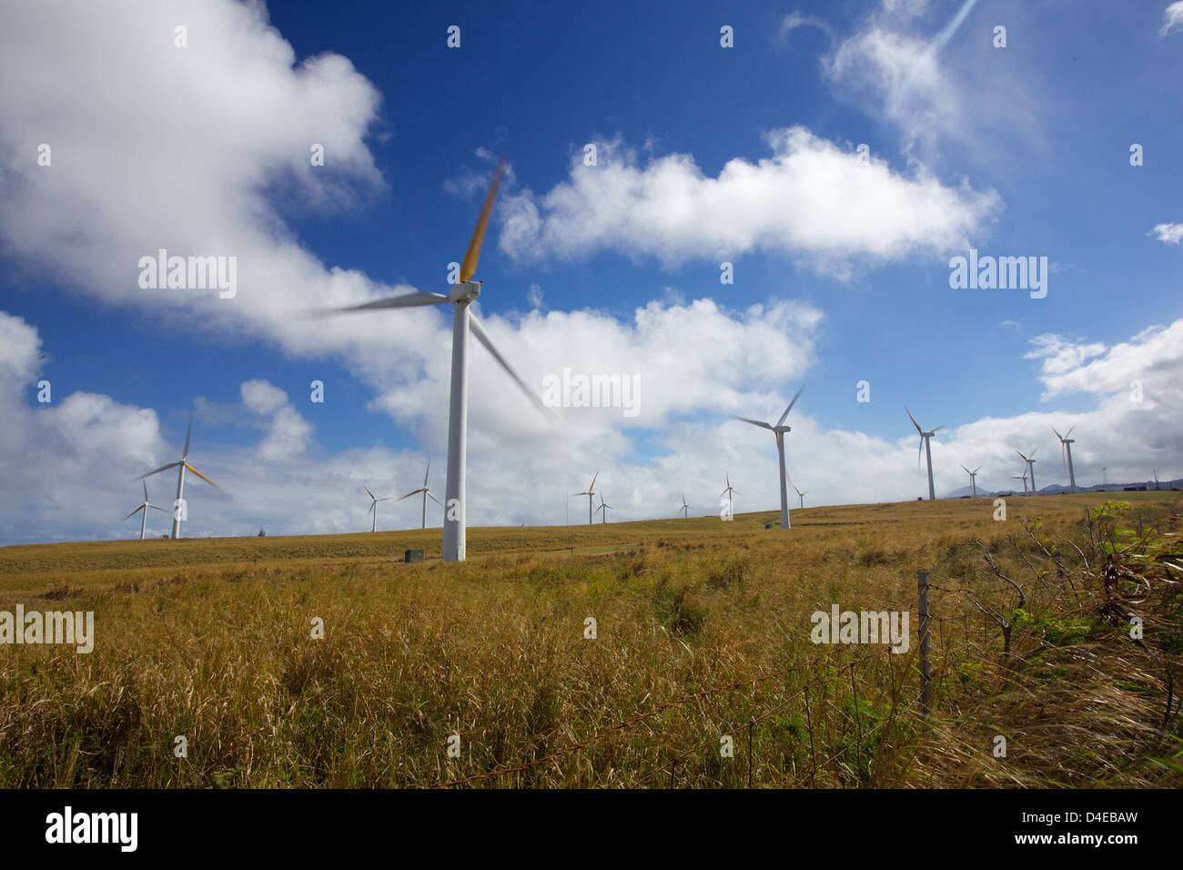 Hawaii-Windpark - Windenergieanlagen in der Stadt von Hawi in den großen Inseln North Kohala District Stockfoto