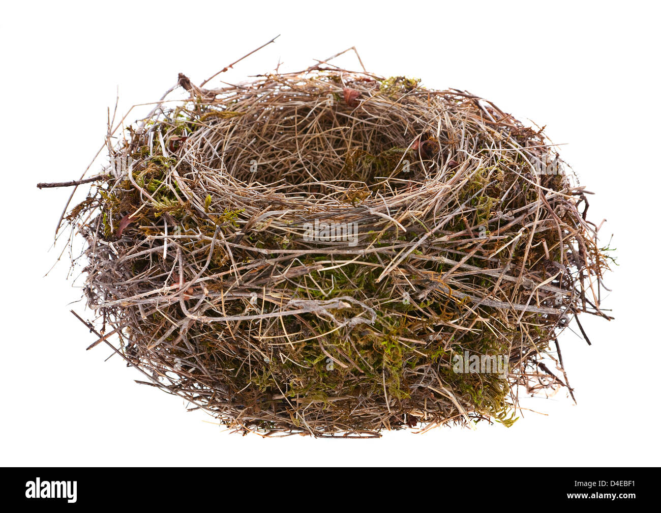 Vogelnest leer isoliert auf weiss Stockfoto