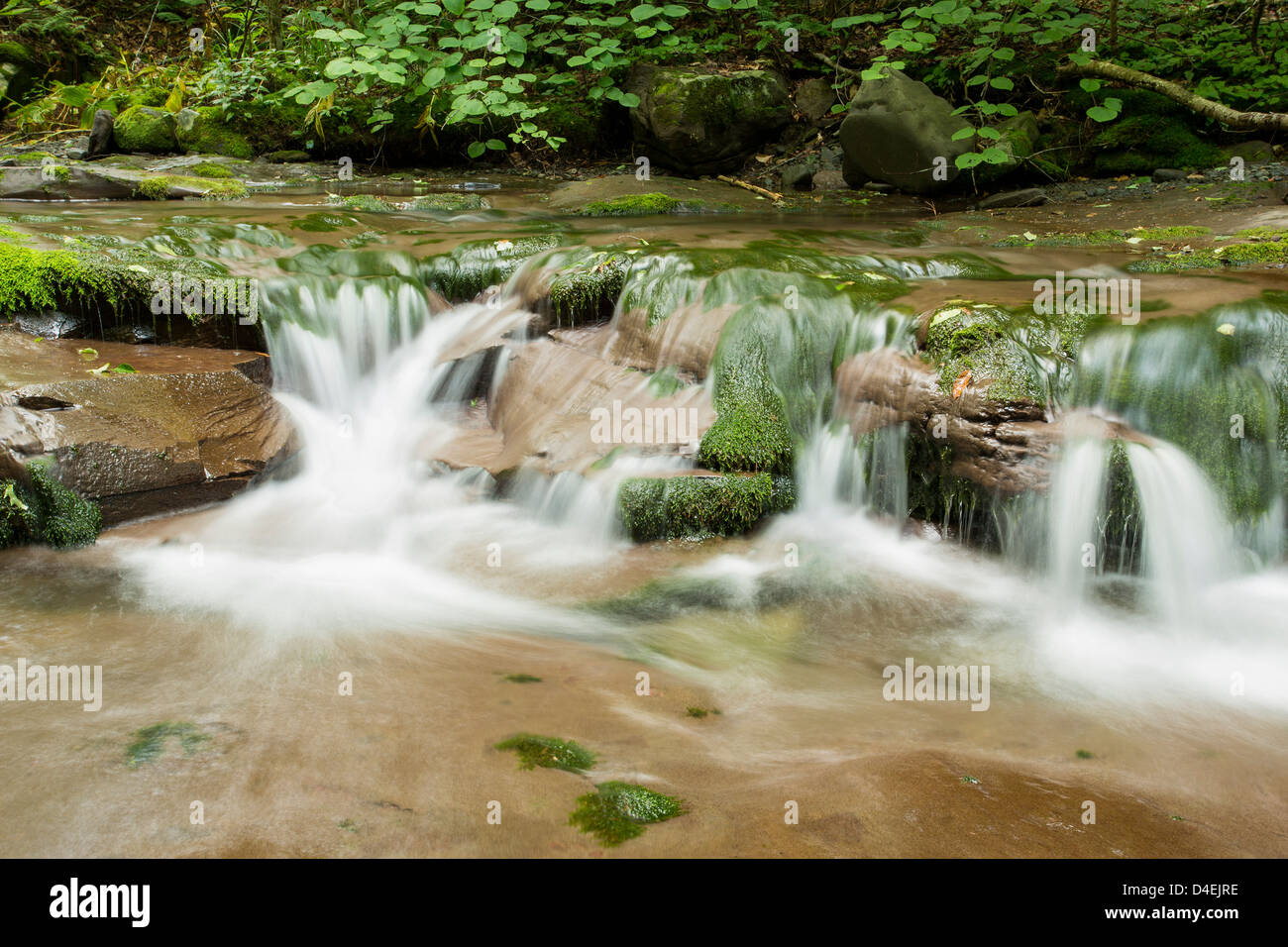 Wasserfall in den Catskill Mountain Region Stockfoto