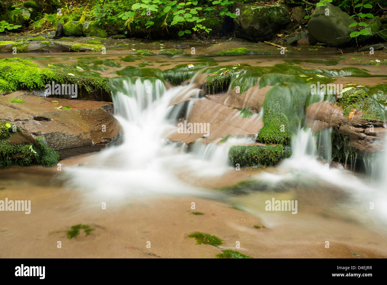 Wasserfall in den Catskill Mountain Region Stockfoto