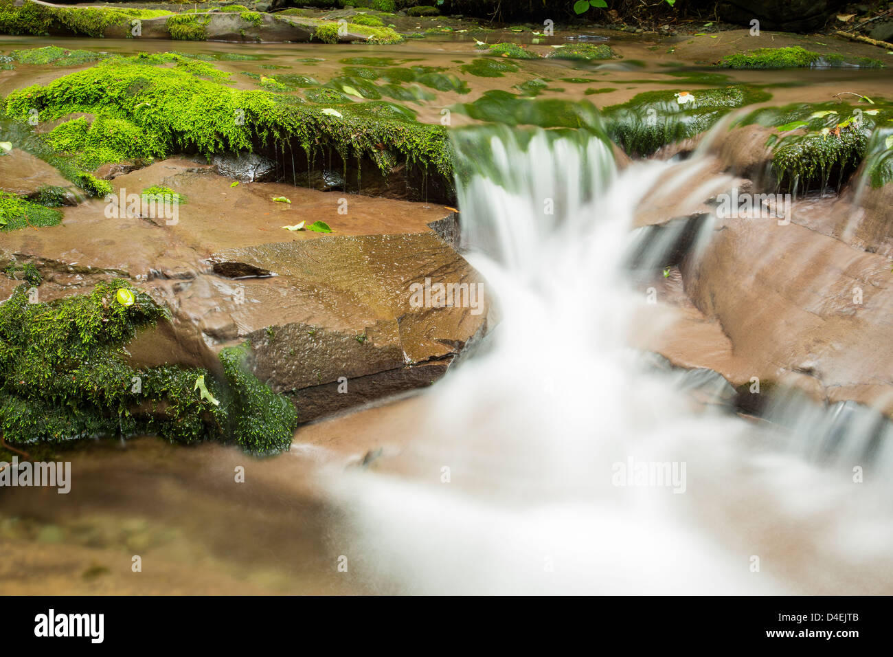 Wasserfall in den Catskill Mountain Region Stockfoto
