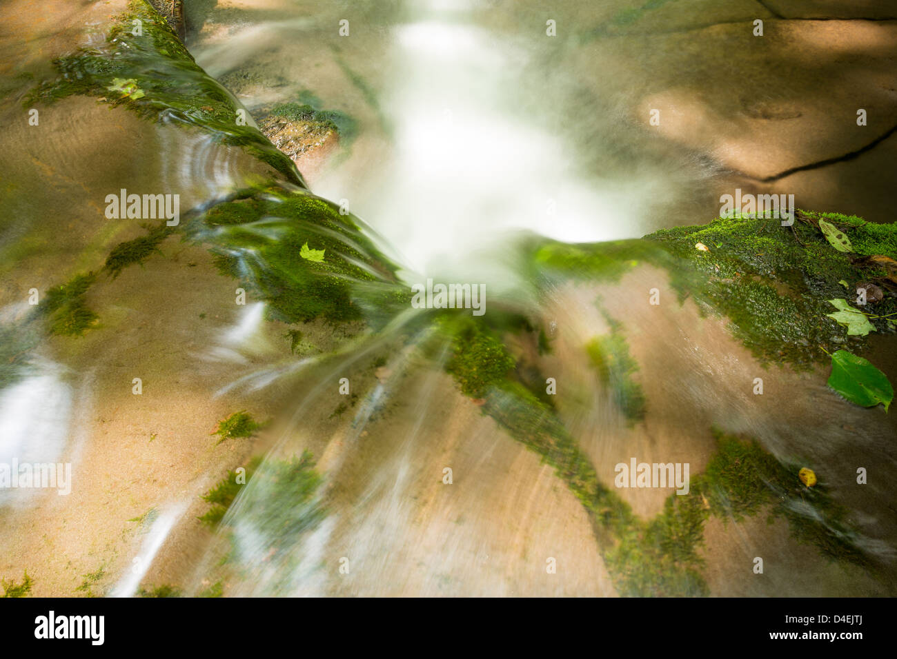 Wasserfall in den Catskill Mountain Region Stockfoto