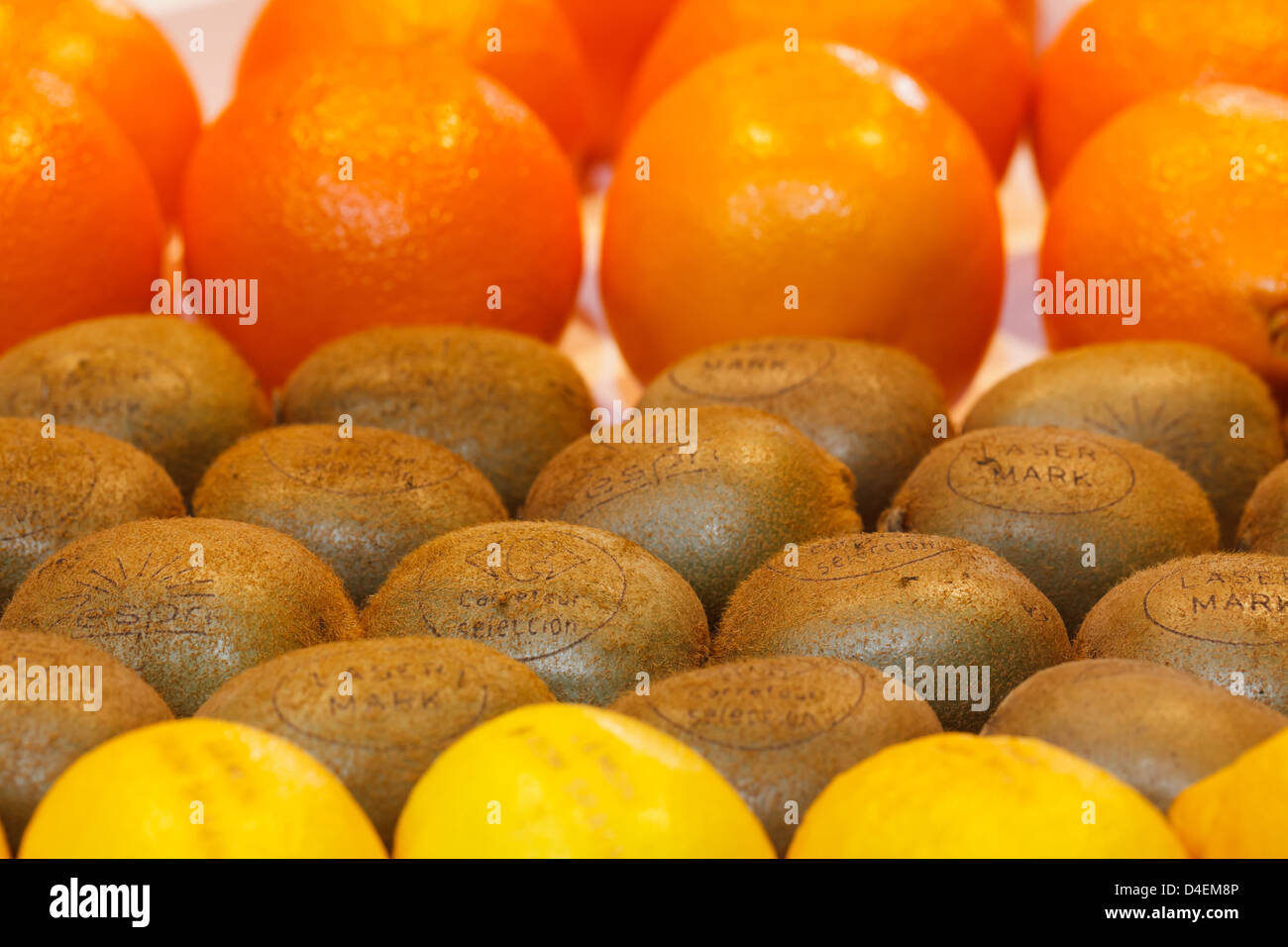 Berlin, Deutschland, Orangen, Kiwis und Zitronen auf der Fruit Logistica 2011 Stockfoto